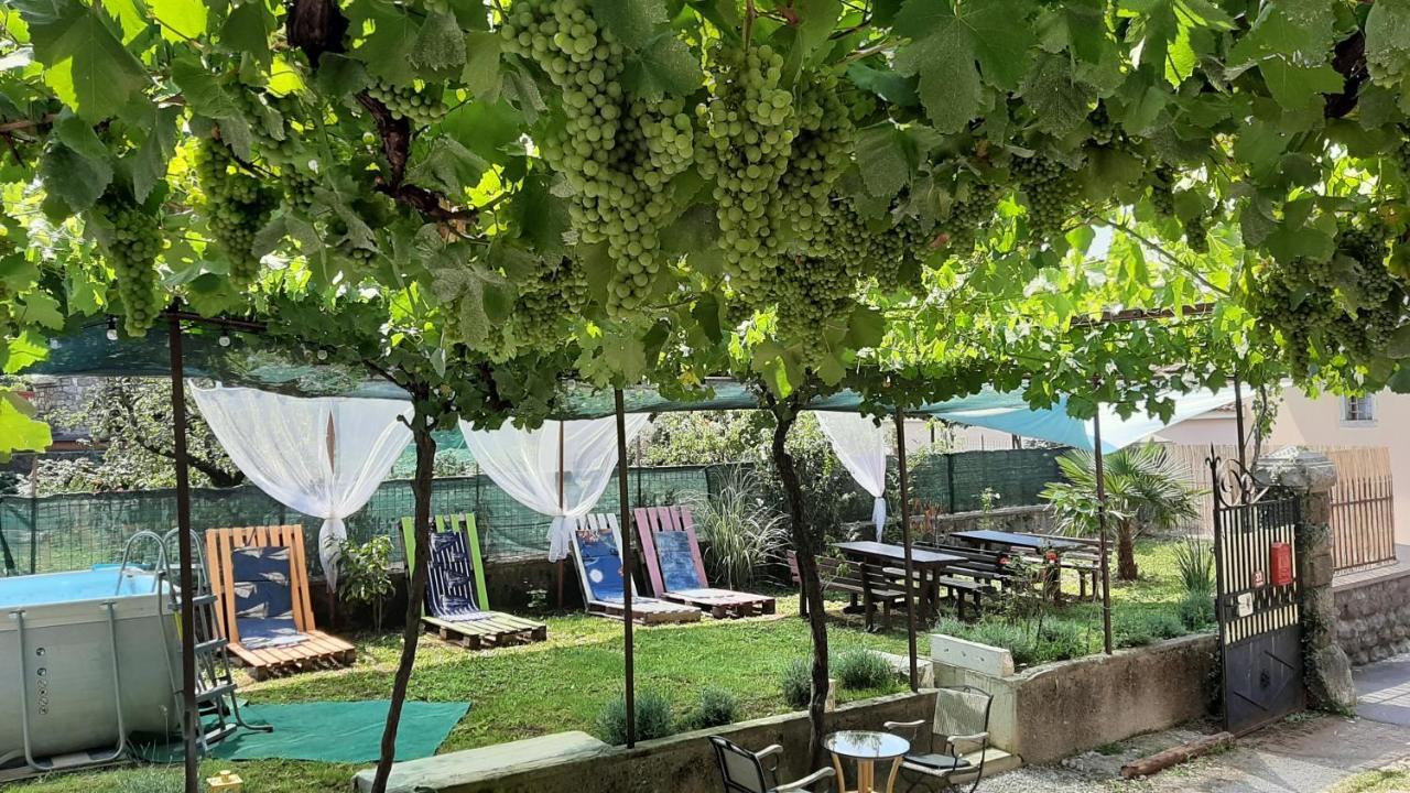 Komen Residence Muzica Bed And Breakfast المظهر الخارجي الصورة